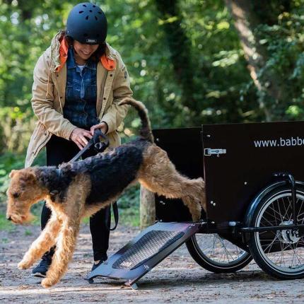 Babboe DOG -E   DIRECT LEVERBAAR 