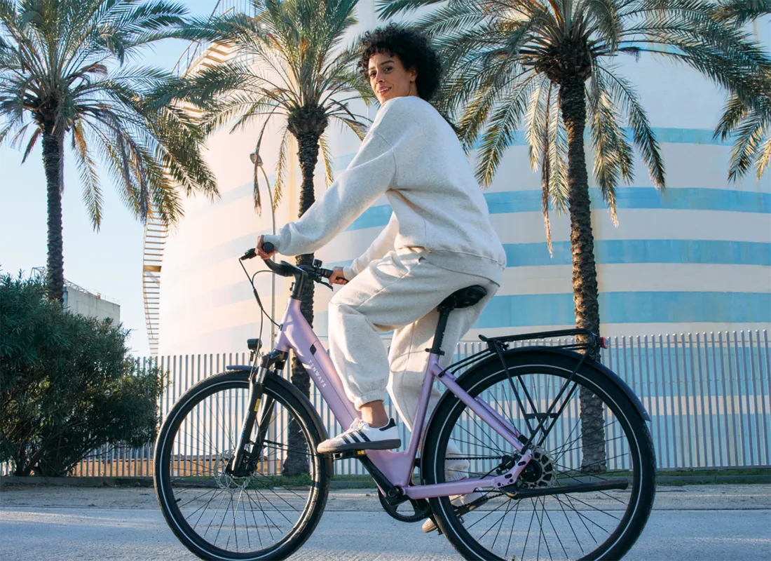 Triobike bakfiets